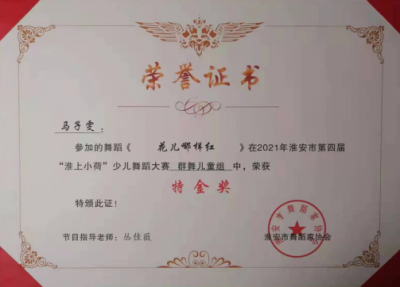 2021年馬子雯所獲榮譽(yù)（指導(dǎo)老師：叢佳薇）