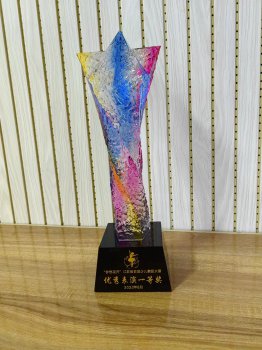 “夢想花開”江蘇省首屆少兒舞蹈大賽優(yōu)秀表演一等獎
